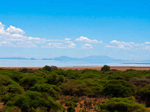 Lodge Safaris