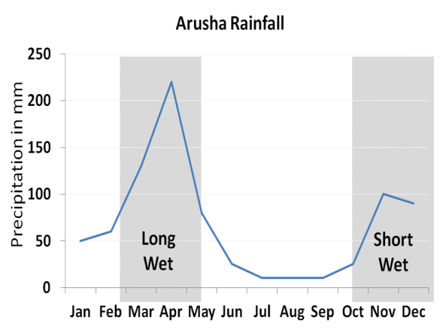 Kilimanjaro Seasons - Short and Long Wet