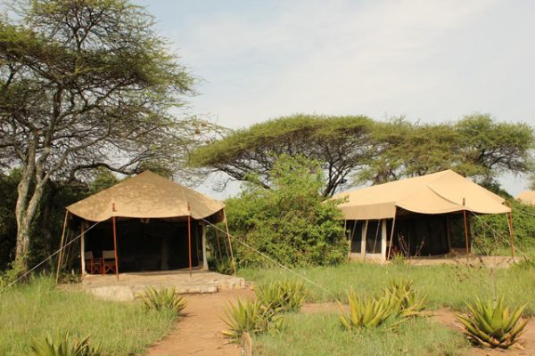 Mapito Tented Camp Serengeti