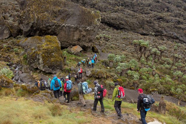 Taking Care of the Team: The Porters of Kilimanjaro Taking Care of the Team: The Porters of Kilimanjaro