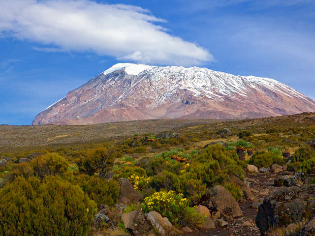 Everest or Kilimanjaro? Trekking Comparison Everest or Kilimanjaro? Trekking Comparison