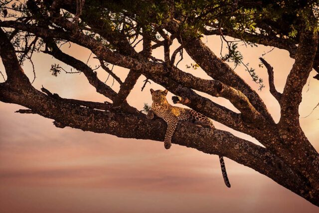 Top 20 Reasons To Visit Tanzania Top 20 Reasons To Visit Tanzania