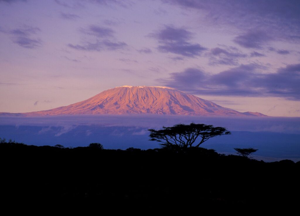 Kilimanjaro at Sunrise
