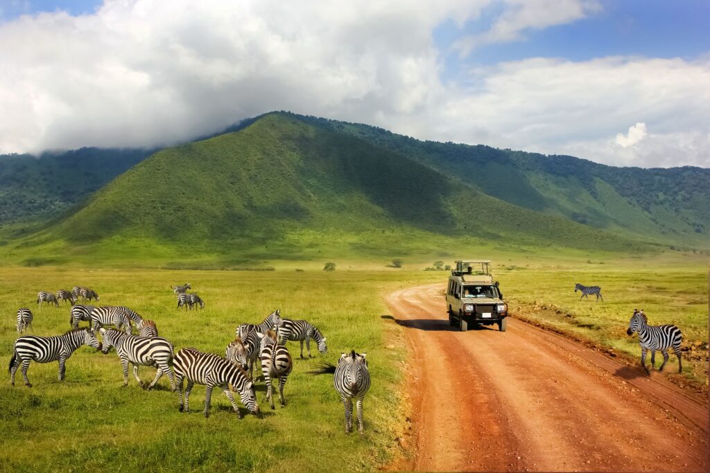 Safari in Ngorongoro Crater - Wet Season